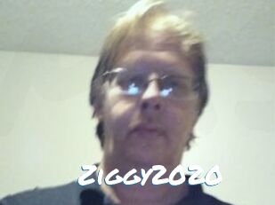 Ziggy2020
