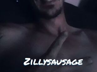 Zillysausage