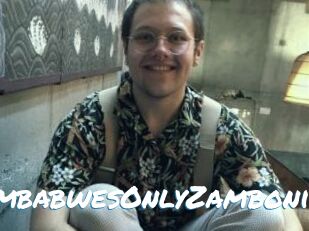 ZimbabwesOnlyZamboni