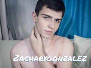 Zacharygonzalez
