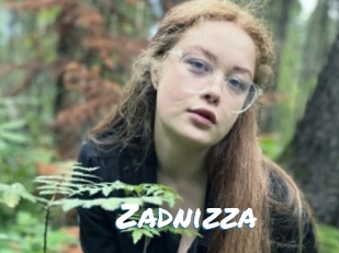 Zadnizza