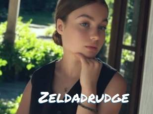 Zeldadrudge