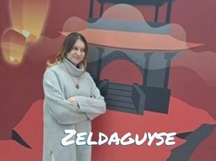 Zeldaguyse