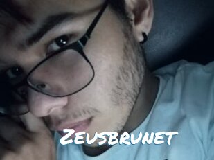 Zeusbrunet
