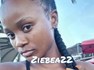 Ziebea22